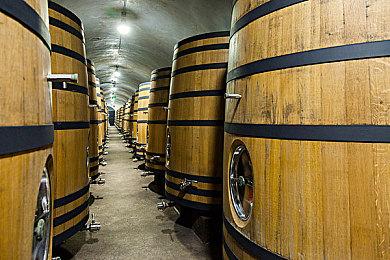 建造生存游戏《Abyssals》上线Steam 2023年推出